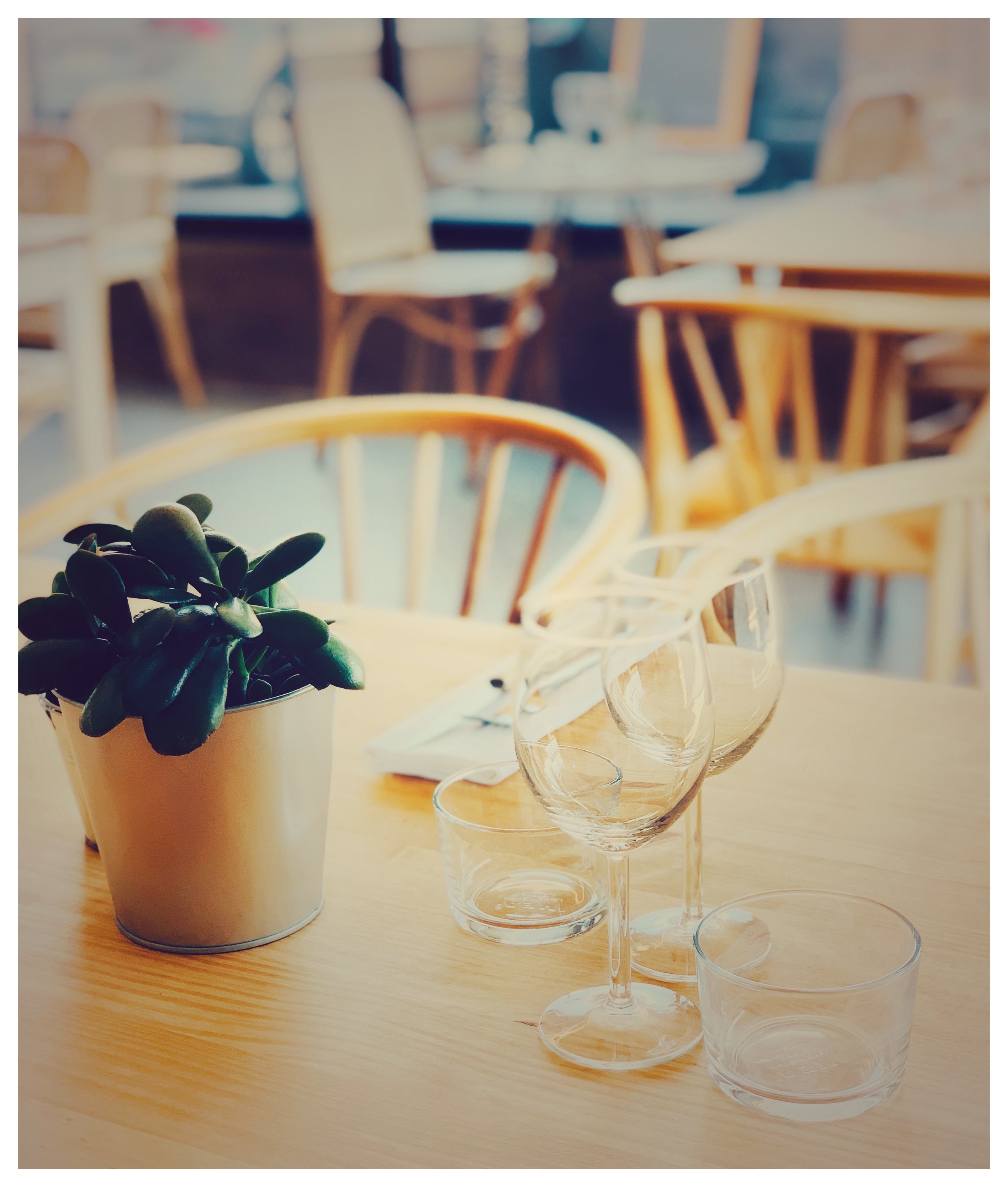 Table de restaurant avec verres à vin et plante succulente, ambiance cosy