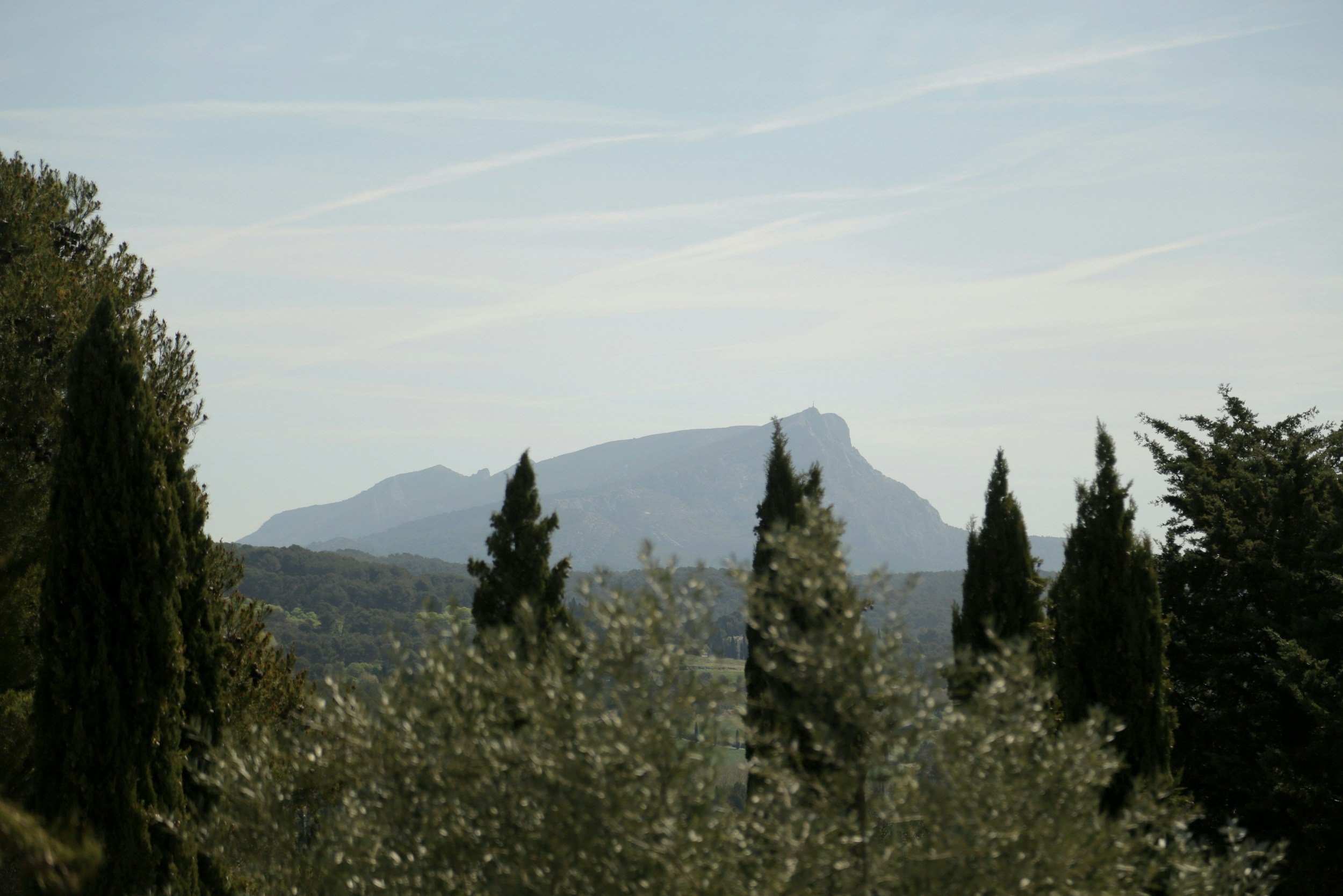 Vue sur la Montagne Sainte-Victoire depuis un jardin provençal avec cyprès et oliviers